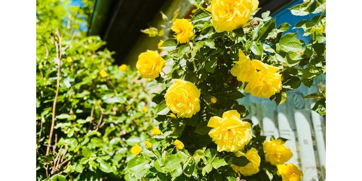 Einfamilienhaus Petershagen/Eggersdorf Eggersdorf - 7 Zimmer, 154 m&sup2;, 1.850&euro; | Angebot:26045267