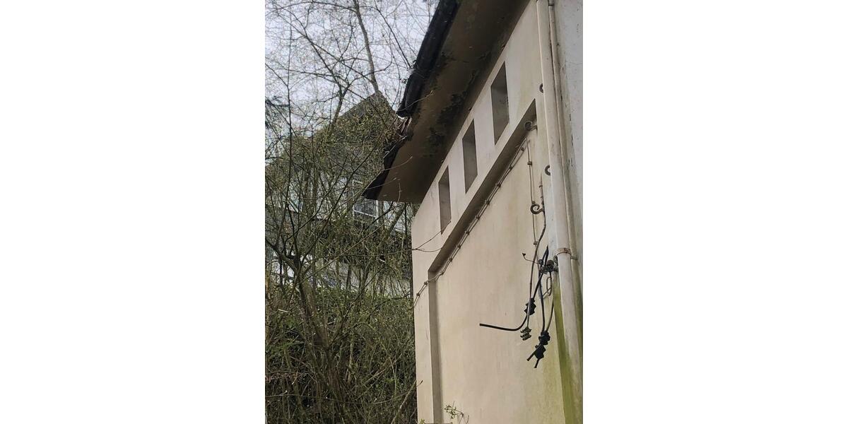 Gewerbeobjekt Köln Nippes - 100&euro; | Angebot:24428156