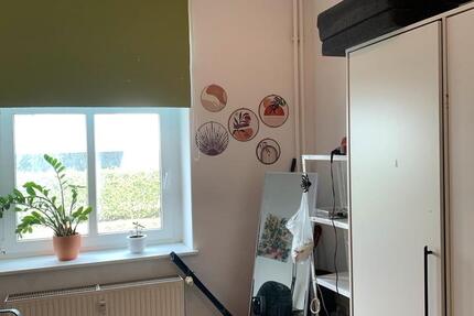 Wohnung Greifswald - 3 Zimmer, 18 m&sup2;, 400&euro; | Angebot:26321335