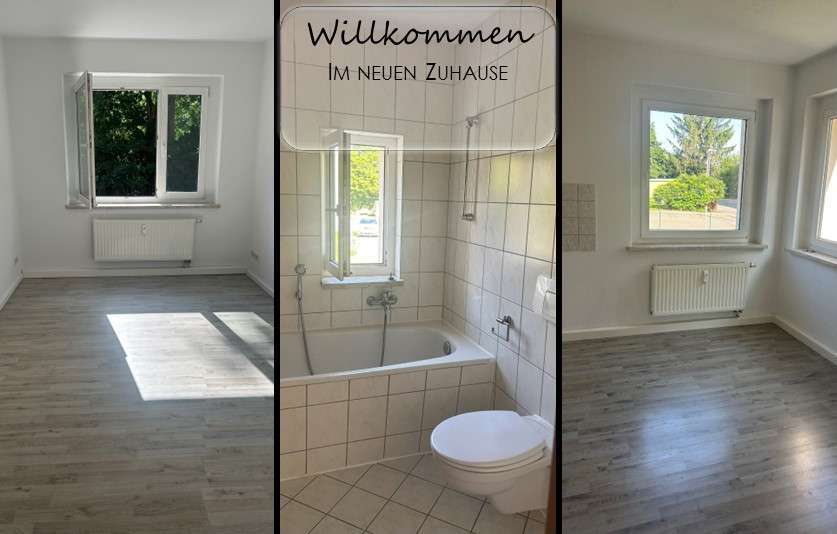 Wohnung zum Mieten in Zwickau 270 € 45.04 m²