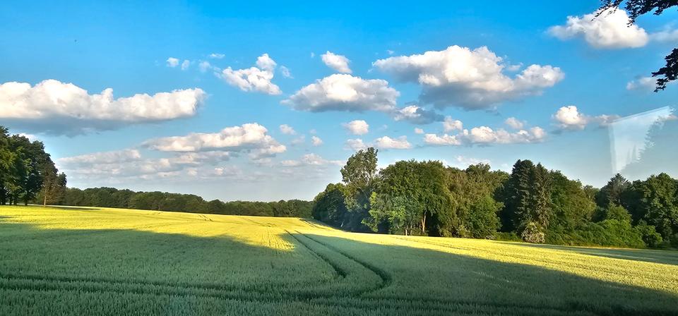 Wohnen auf Zeit Bad Oeynhausen - 1 Zimmer, 176 m&sup2;, 1.290&euro; | Angebot:26080657