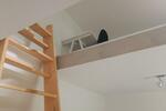 Wohnen auf Zeit Bonn Poppelsdorf - 2 Zimmer, 42 m&sup2;, 770&euro; | Angebot:26588951