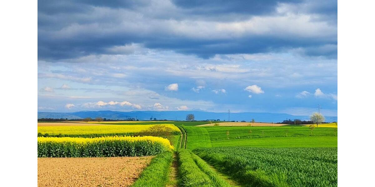 Wohnen auf Zeit Wörth am Rhein - 1 Zimmer, 18 m&sup2;, 45&euro; | Angebot:24603492