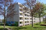 Etagenwohnung Gotha - 2 Zimmer, 42 m&sup2;, 255&euro; | Angebot:26563045