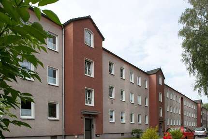 Wohnung Wuppertal Sedansberg - 2 Zimmer, 46 m&sup2;, 373&euro; | Angebot:24973305