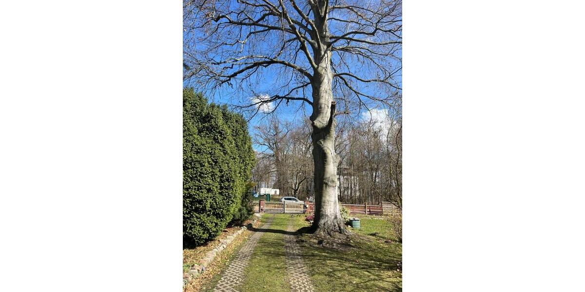 Wohnen auf Zeit Markkleeberg - 2 Zimmer, 350 m&sup2;, 500&euro; | Angebot:25814292