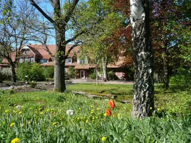 Dachgeschoßwohnung Altenmedingen - 2 Zimmer, 70 m&sup2;, 550&euro; | Angebot:26049248