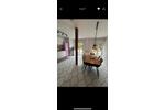 Wohnen auf Zeit Mannheim Käfertal - 4 Zimmer, 105 m&sup2;, 480&euro; | Angebot:26494991