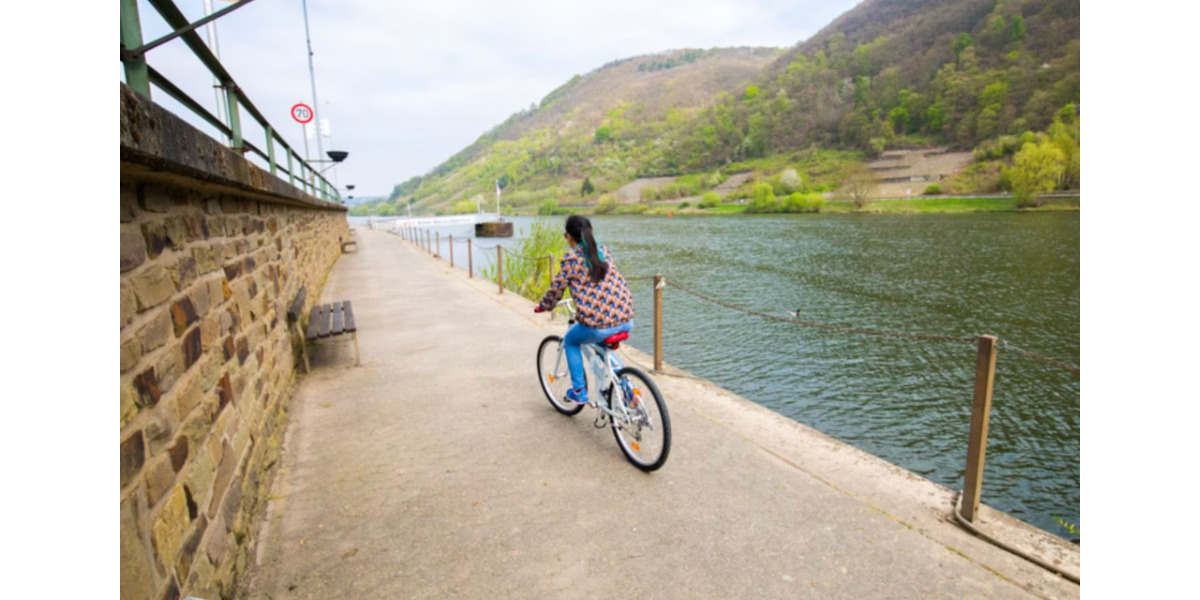 Wohnen auf Zeit Winningen - 1 Zimmer, 18 m&sup2;, 620&euro; | Angebot:23423857