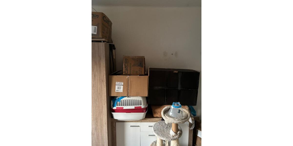 Etagenwohnung Alsdorf - 4 Zimmer, 85 m&sup2;, 550&euro; | Angebot:25261558