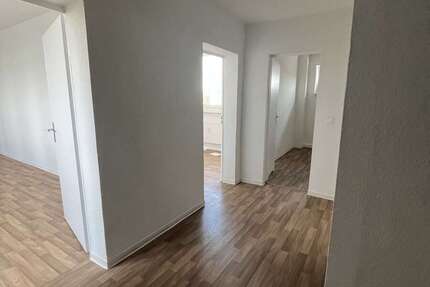 Wohnung zum Mieten in Halle 380 € 64.55 m² 2 zimmer