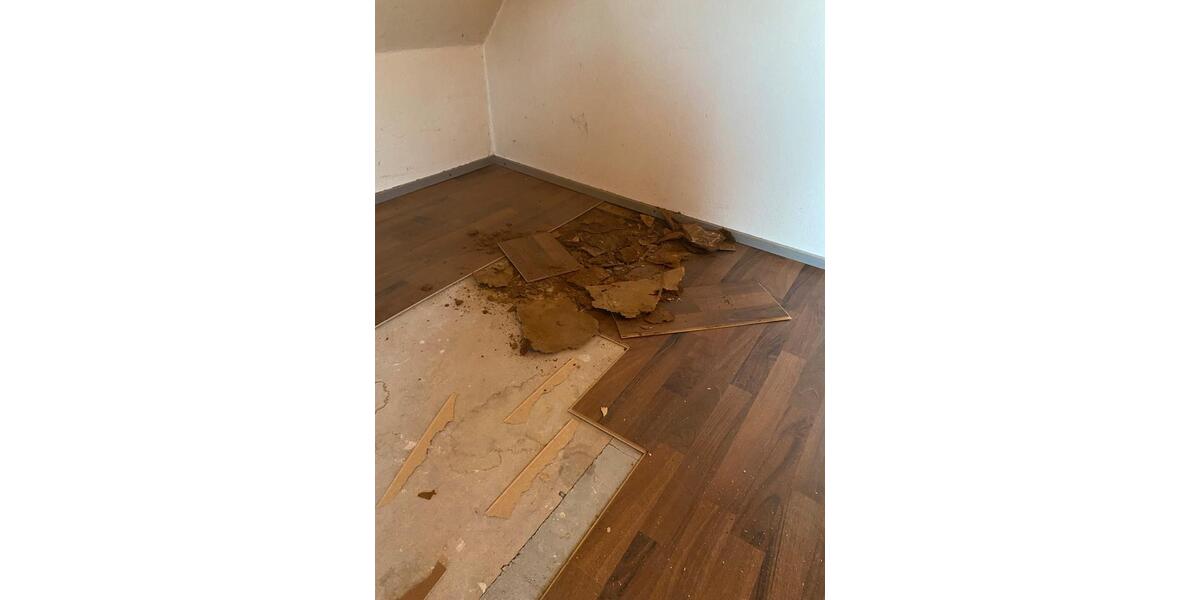 Dachgeschoßwohnung Ostheim vor der Rhön Ostheim v.d.Rhön - 2 Zimmer, 50 m&sup2;, 350&euro; | Angebot:26387112