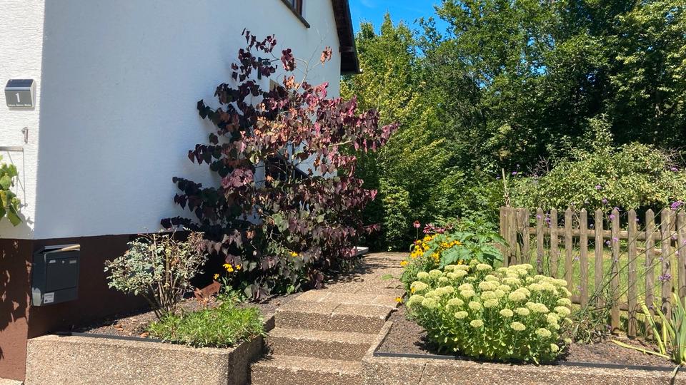 Einfamilienhaus zu Vermieten 5 zimmer