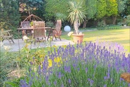 Wohnen auf Zeit Salzgitter Ortschaft Nord - 1 Zimmer, 24 m&sup2;, 450&euro; | Angebot:26157345