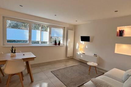 1-Zimmer-Wohnung, vollmöbliert 1 zimmer