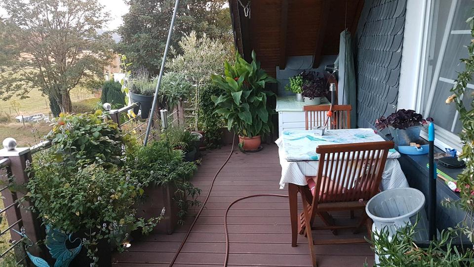 Zwischenvermietung 2 zimmer