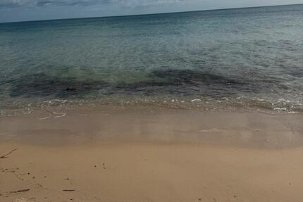 2Zimmer Wohnung zu vermieten 2 zimmer