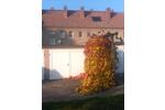 Etagenwohnung Stauchitz - 3 Zimmer, 72 m&sup2;, 250&euro; | Angebot:26532018
