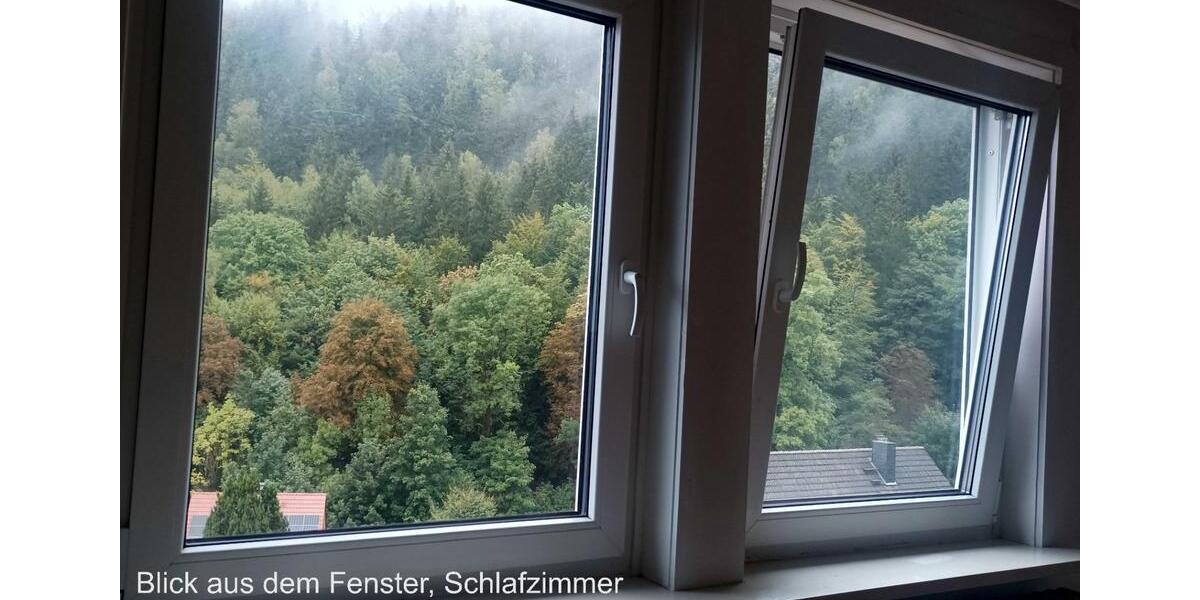 Etagenwohnung Langelsheim - 4 Zimmer, 86 m&sup2;, 500&euro; | Angebot:25944682