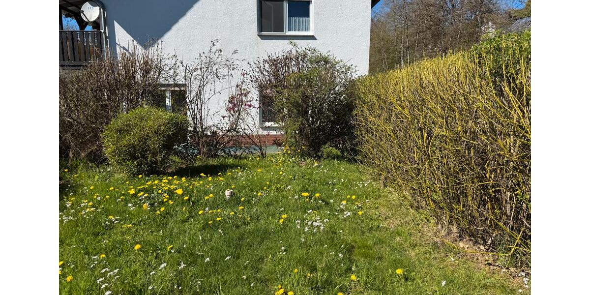 Etagenwohnung Frankenberg (Eder) - 2 Zimmer, 75 m&sup2;, 522&euro; | Angebot:25935559
