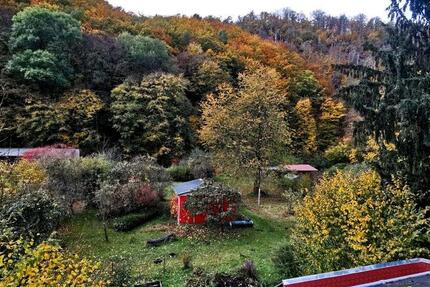 großes helles WG zimmer im Grünen in Tharandt zimmer