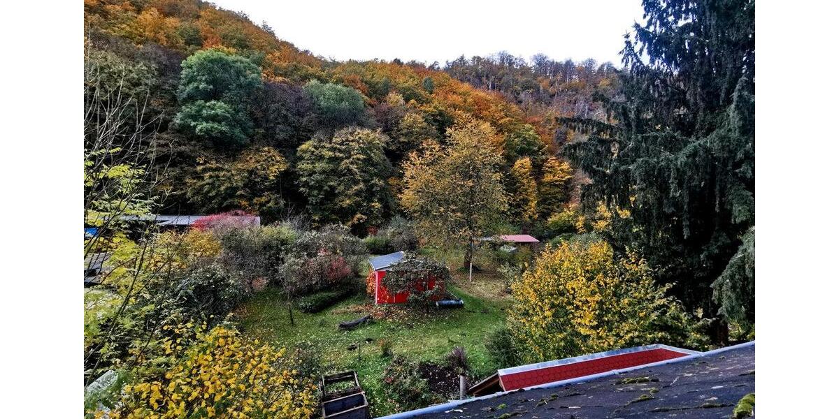 großes helles WG zimmer im Grünen in Tharandt zimmer