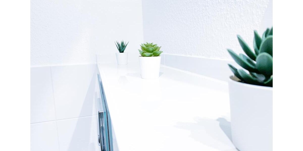 Wohnen auf Zeit Aachen Aachen-Mitte - 1 Zimmer, 30 m&sup2;, 900&euro; | Angebot:13964562