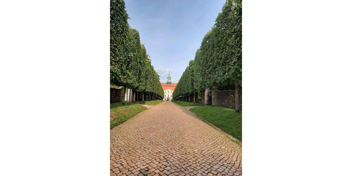 3- Raumwohnung mit Einbauküche 3 zimmer