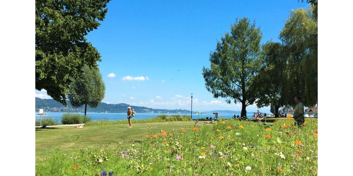 Etagenwohnung Bodman-Ludwigshafen Ludwigshafen - 3 Zimmer, 58 m&sup2;, 1.150&euro; | Angebot:25413144