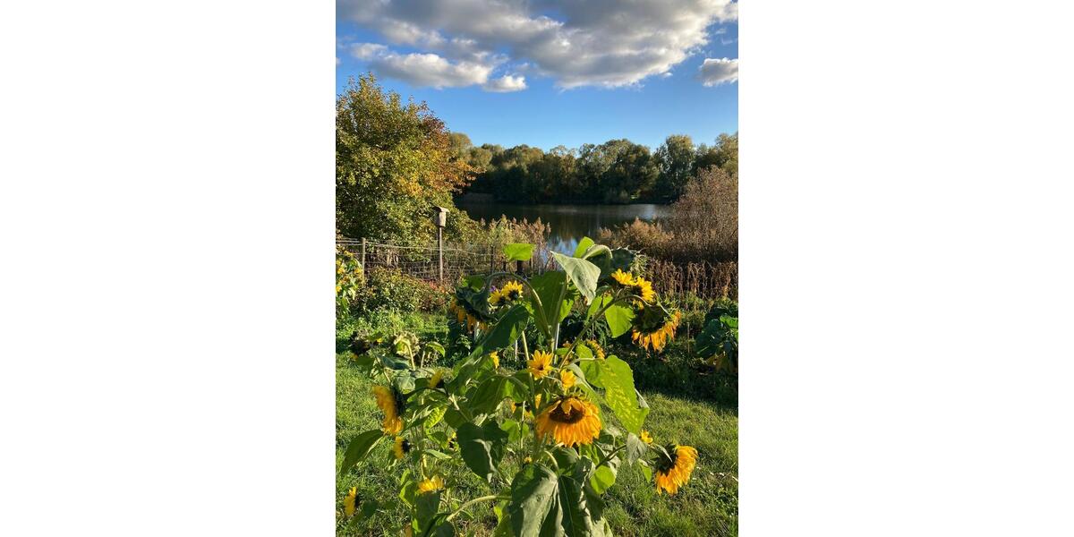 Etagenwohnung Oranienburg - 4 Zimmer, 140 m&sup2;, 350&euro; | Angebot:25150166