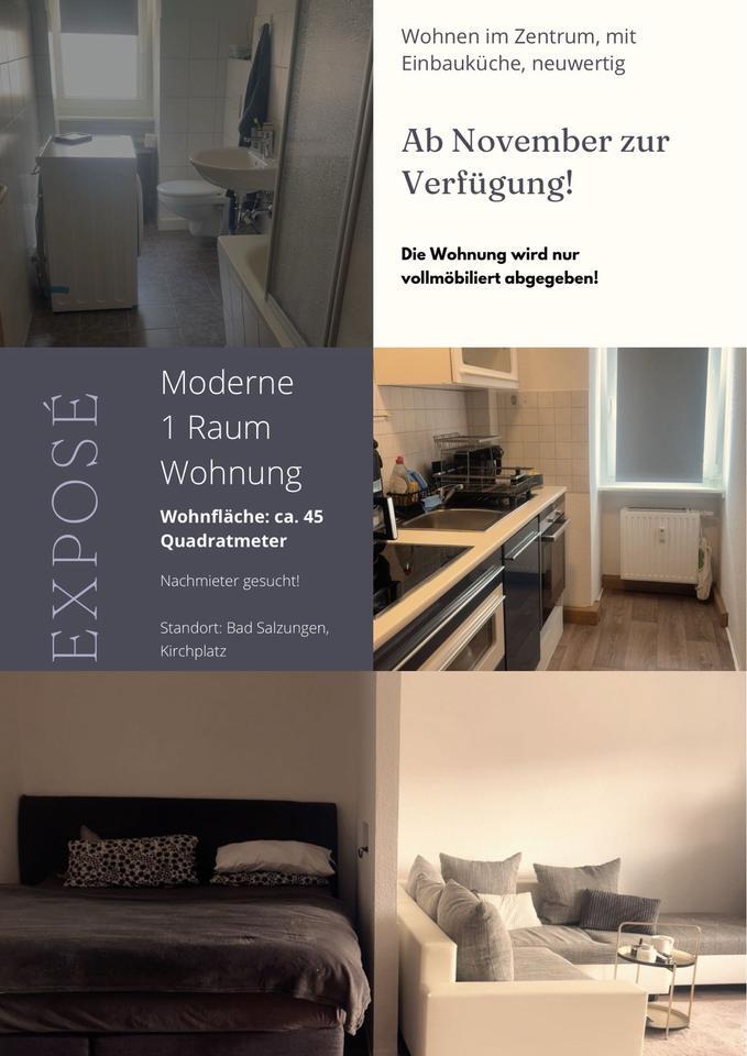 Wohnung Bad Salzungen | ca. 45qm | EinraumWohnung