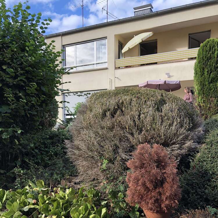 Wohnung zum Mieten in Dreieich 1.050 € 76 m² 3 zimmer