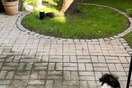 Haus Berlin Mitte - 2 Zimmer, 60 m&sup2;, 1.500&euro; | Angebot:25607363