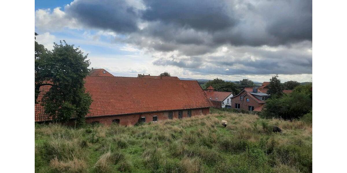 Mietwohnung in Gemeinschaft 3 zimmer