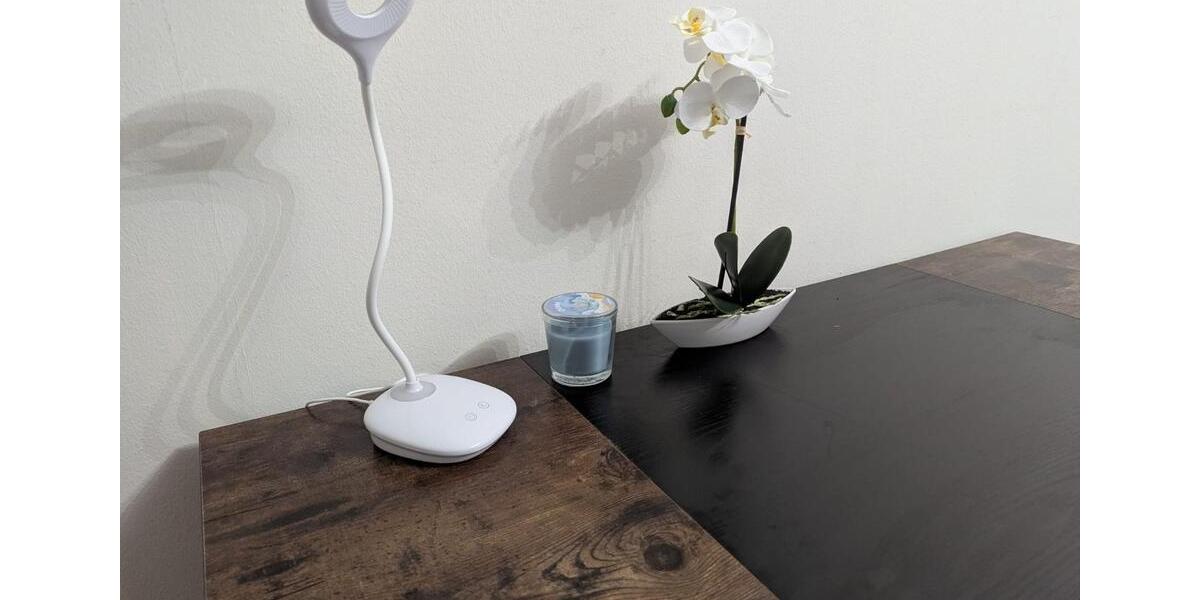 Wohnen auf Zeit Nürnberg Gleißhammer - 1 Zimmer, 20 m&sup2;, 600&euro; | Angebot:25562962