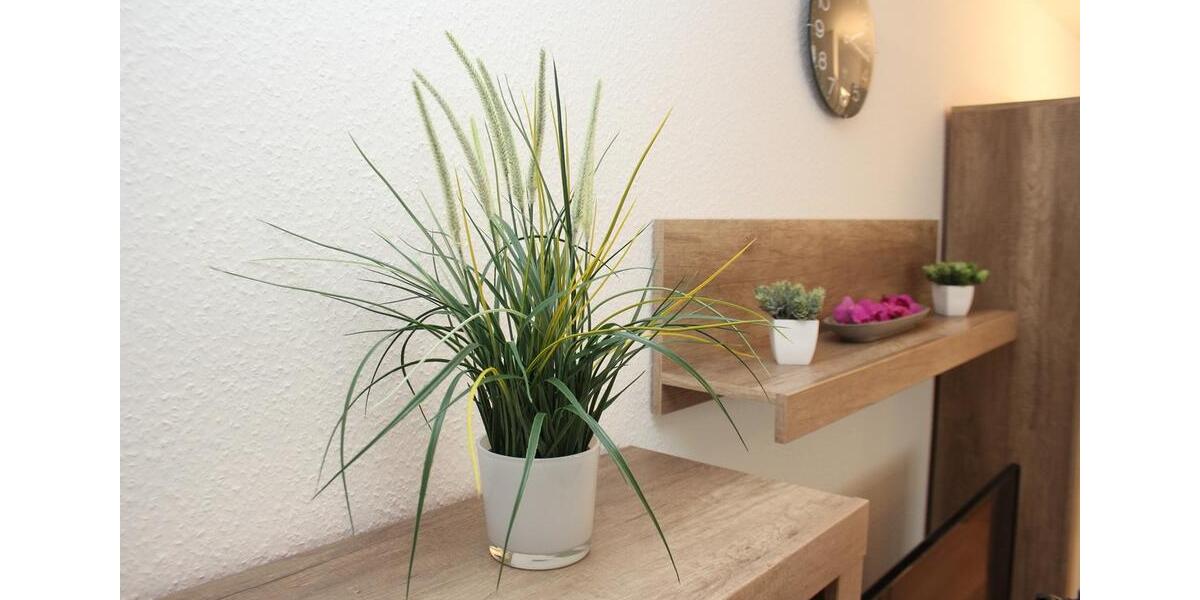Wohnen auf Zeit Weil am Rhein - 2.5 Zimmer, 40 m&sup2;, 980&euro; | Angebot:26418811