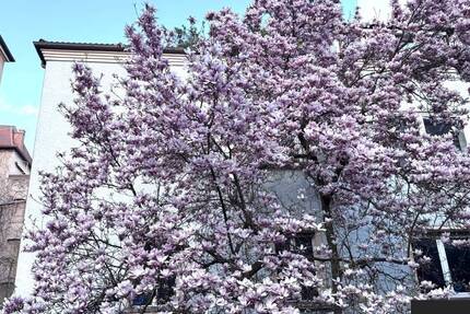 Wohnung Nürnberg Gärten h d Veste - 4 Zimmer, 170 m&sup2;, 1.850&euro; | Angebot:26190502