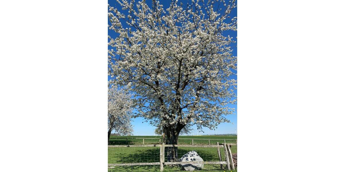 Etagenwohnung Bad Wünnenberg - 3 Zimmer, 60 m&sup2;, 95&euro; | Angebot:25986197