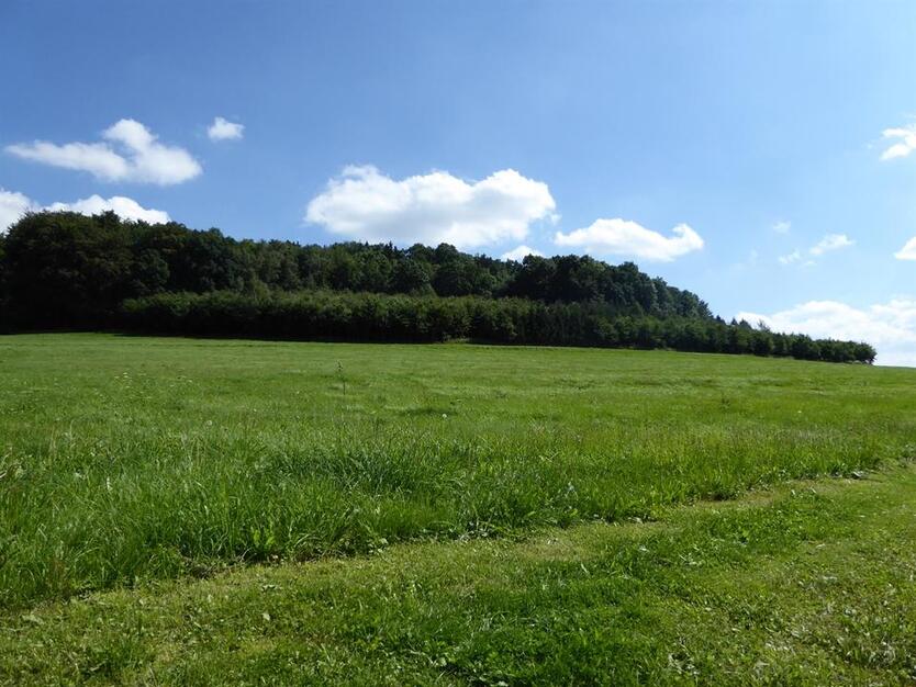 2-RW am Schlechteberg! zimmer