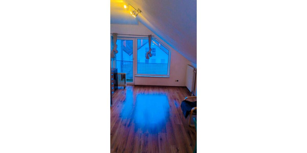 Dachgeschoßwohnung Bad Dürkheim - 1 Zimmer, 32 m&sup2;, 480&euro; | Angebot:24744196