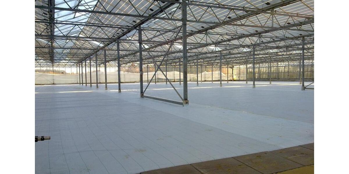 Gewerbeobjekt Bassum - 123&euro; | Angebot:25901005