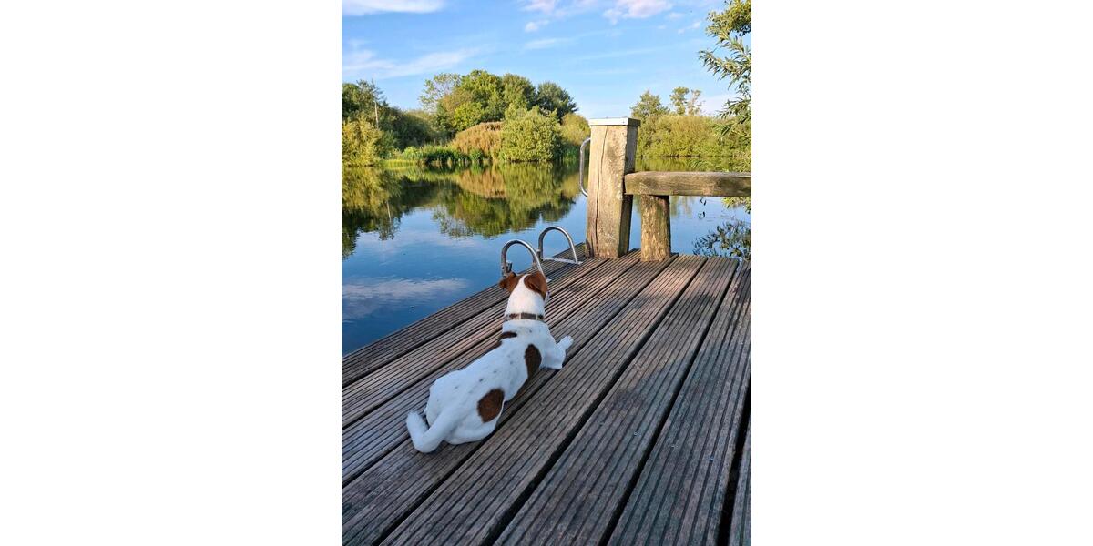 Erdgeschoßwohnung Norden - 3.5 Zimmer, 120 m&sup2;, 1.600&euro; | Angebot:25857217