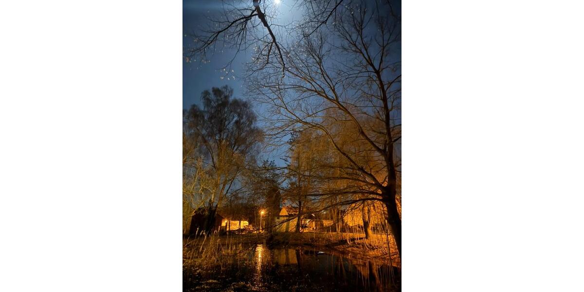 Wohnen auf Zeit Bad Belzig - 1 Zimmer, 20 m&sup2;, 530&euro; | Angebot:26248136