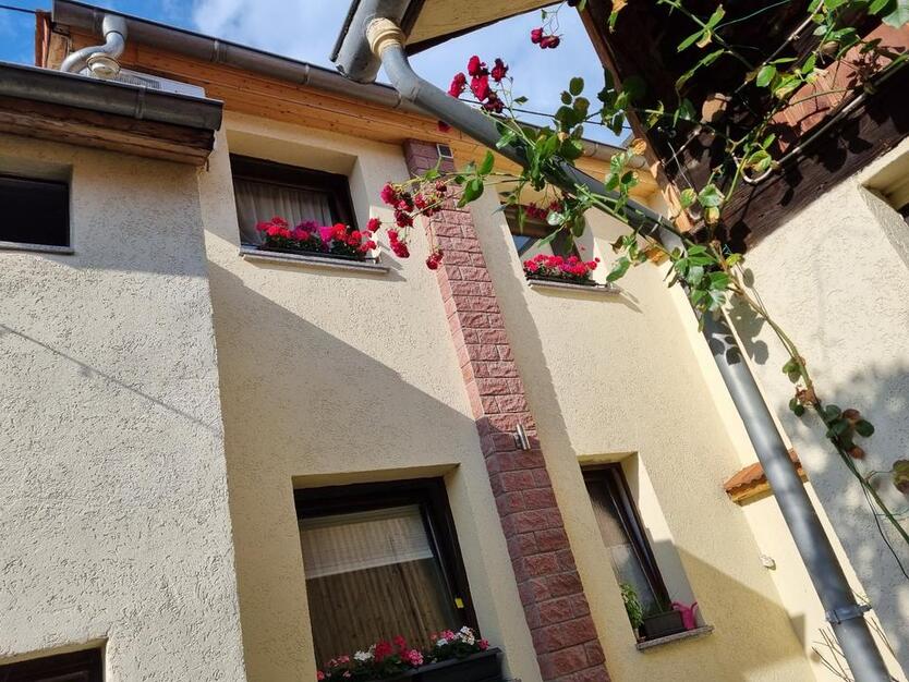 Wohnung Tagesweise zu vermieten