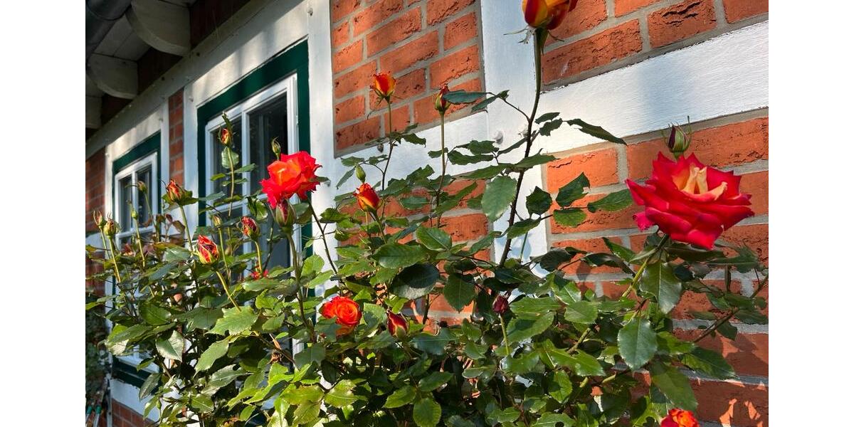Wohnen auf Zeit Lamstedt - 9 Zimmer, 320 m&sup2;, 500&euro; | Angebot:26493287