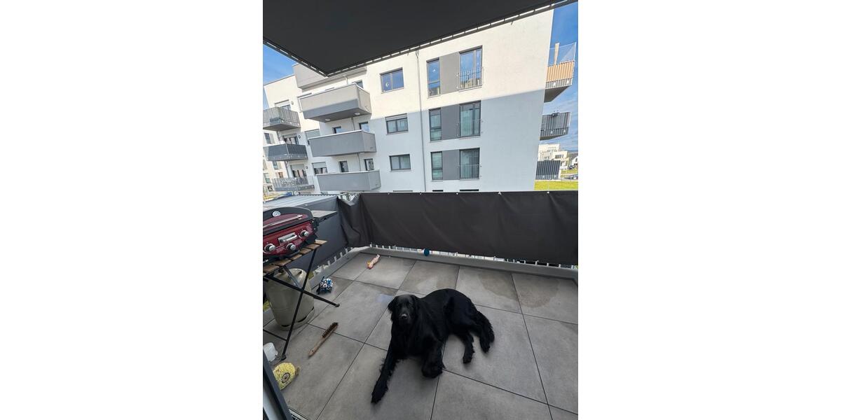 Etagenwohnung Braunschweig Südstadt- Rautheim- Mascherode - 2 Zimmer, 72 m&sup2;, 940&euro; | Angebot:26270535