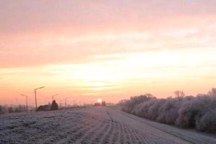 Möbliertes 1 Raum Studio ab Mai 2026 zimmer