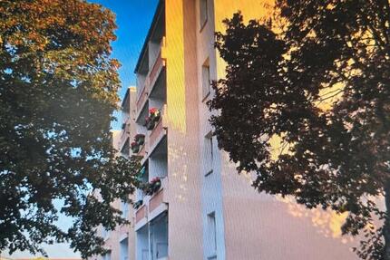 Wohnung Grabow - 1 Zimmer, 36 m&sup2;, 249&euro; | Angebot:24866711