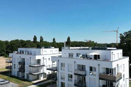 Wohnung Emmerich am Rhein Borghees - 2 Zimmer, 60 m&sup2;, 571&euro; | Angebot:26867127