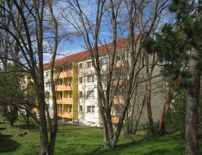 WSF: Guter Zuschnitt, ruhig, mit Balkon